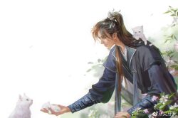 Rule 34 | 1boy, absurdres, animal, animal on shoulder, bent over, blue hanfu, bracer, brown hair, cat, chinese clothes, collared shirt, erha he tadebai mao shizun, flower, hair ornament, hanfu, high ponytail, highres, holding, holding animal, jianya chi, kitten, long hair, looking at animal, mo ran, multiple cats, parted lips, pink flower, realistic, shirt, tassel, upper body, weibo watermark, white cat, white flower, xiao guan (headdress)