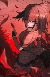 Rule 34 | 1girl, arm at side, belt, bird tail, black gloves, bodystocking, breast pocket, closed mouth, collared shirt, expressionless, fingerless gloves, from above, from behind, gloves, green eyes, hair between eyes, hair intakes, hand up, highres, holding, holding leaf, kemono friends, layered sleeves, leaf, long hair, long sleeves, looking back, looking up, melaton, multicolored hair, necktie, outdoors, pocket, shirt, shoebill (kemono friends), short over long sleeves, short sleeves, shorts, sidelocks, solo, standing, tail, twilight, wind
