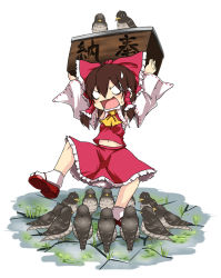 Rule 34 | 1girl, ascot, bird, bow, box, brown hair, cuckoo, detached sleeves, donation box, female focus, hair bow, hair tubes, hakurei reimu, holding up, japanese clothes, midriff, miko, nature, noya makoto, open mouth, outdoors, plant, sandals, shirt, skirt, solo, sweatdrop, touhou, translation request, white background