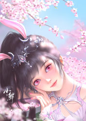 Rule 34 | 1girl, absurdres, animal ears, ba bo er benbo er, blue sky, branch, brown hair, cherry blossoms, collar, douluo dalu, dress, hair ornament, highres, leaning to the side, metal collar, pink dress, pink eyes, ponytail, rabbit ears, sky, smile, solo, table, upper body, xiao wu (douluo dalu)
