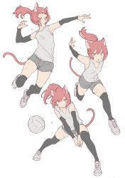 Rule 34 | 1girl, animal ear fluff, animal ears, arm warmers, armpits, ball, black thighhighs, breasts, cat ears, cat tail, commentary, fang, full body, long hair, mogumo, multiple views, original, own hands together, pink hair, playing sports, ponytail, running, shoes, short shorts, shorts, simple background, skindentation, small breasts, sneakers, sportswear, sweat, tail, tank top, thighhighs, volleyball, volleyball (object), volleyball uniform, white background