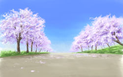 Rule 34 | blue sky, cherry blossoms, commentary request, day, grass, highres, hirota (masasiv3), no humans, outdoors, petals, road, scenery, sketch, sky, tree
