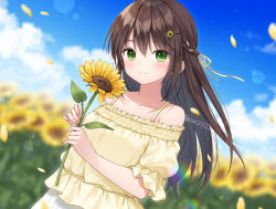 Rule 34 | 1girl, blurry, blurry background, blush, braid, brown hair, brown shirt, closed mouth, commentary request, day, depth of field, flower, green eyes, hair between eyes, hair flower, hair ornament, hairclip, holding, holding flower, long hair, looking at viewer, off-shoulder shirt, off shoulder, original, outdoors, puffy short sleeves, puffy sleeves, shirt, short sleeves, skirt, smile, solo, sunflower, twitter username, white skirt, yellow flower, yumoran