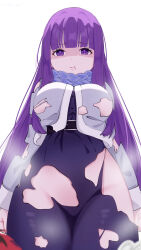 Rule 34 | 1boy, 1girl, :t, absurdres, black dress, breasts, closed mouth, dress, fern (sousou no frieren), grey jacket, highres, jacket, large breasts, long hair, long sleeves, looking at viewer, purple eyes, purple hair, sousou no frieren, stark (sousou no frieren), torn clothes, watano yuki, white background