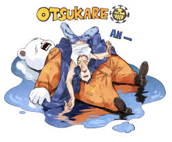 Rule 34 | 1boy, animal, arm tattoo, bear, bepo, blue coat, coat, denim, exhausted, facial hair, jeans, jolly roger, jumpsuit, lying, lying on person, lying on water, male focus, oboro keisuke, on back, one piece, orange jumpsuit, pants, polar bear, puddle, romaji text, spoilers, tank top, tattoo, trafalgar law, water, white background, white tank top