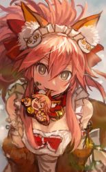 Rule 34 | 1girl, animal ears, animal hands, bell, bow, breasts, brown eyes, burari, collar, commentary request, fate/grand order, fate (series), fox ears, fox tail, frilled hairband, frills, gloves, hair between eyes, hairband, head tilt, lips, long sleeves, looking at viewer, medium breasts, mouth hold, neck bell, paw gloves, pink hair, red bow, red ribbon, ribbon, shirt, sleeveless, sleeveless shirt, solo, tail, tamamo (fate), tamamo cat (fate), tamamo cat (third ascension) (fate), white hairband, white shirt