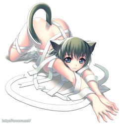 Rule 34 | :3, all fours, animal ears, bandages, cat ears, cat tail, cruccu, nude, solo, tail