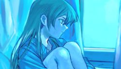 Rule 34 | 1girl, 203wolves, blue shirt, blue theme, brown hair, closed mouth, collarbone, collared shirt, hair between eyes, hugging own legs, limited palette, long hair, naked shirt, profile, shirt, signature, sitting, solo, straight hair, tenjouin asuka, wing collar, yu-gi-oh!, yu-gi-oh! gx