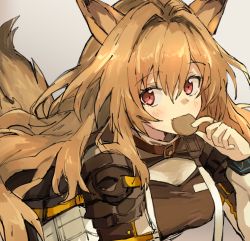 Rule 34 | 1girl, animal ears, arknights, blush, breasts, ceobe (arknights), commentary request, cookie, dog ears, dog tail, eating, food, grey background, hair between eyes, highres, holding, holding cookie, holding food, infection monitor (arknights), jacket, long hair, long sleeves, looking at viewer, red eyes, shiduki eku, simple background, smile, solo, tail, upper body