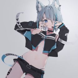 Rule 34 | 1girl, ahoge, animal ear fluff, animal ears, animare, belt, black belt, black choker, black jacket, black panties, black shirt, black shorts, blue eyes, blue hair, blue nails, blush, breasts, choker, cleavage, closed mouth, commentary, cowboy shot, crop top, cropped jacket, dog ears, dutch angle, earrings, grey background, hair between eyes, hair over one eye, hand on own face, highres, jacket, jewelry, looking at viewer, medium breasts, microphone, midriff, multicolored hair, nail polish, nanashi inc., navel, open clothes, open jacket, panties, panty straps, ring, rippootai, shirt, short hair, short shorts, shorts, silver hair, simple background, smile, solo, souya ichika, souya ichika (4th costume), streaked hair, thighs, two-tone hair, underboob, underwear, virtual youtuber