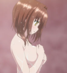 Rule 34 | 10s, 1girl, absolute duo, bath, blush, breasts, brown hair, censored nipples, convenient censoring, covering privates, covering breasts, female focus, from side, highres, hotaka miyabi, large breasts, nude, open mouth, screencap, short hair, shower, solo, standing, wet, yellow eyes