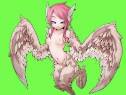 Rule 34 | 1girl, blue eyes, breasts, game cg, harpy, reina (mon-musu quest!), mon-musu quest!, monster girl, nipples, nude, pink hair, small breasts, solo