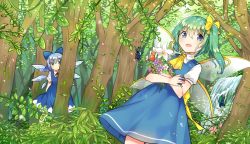 Rule 34 | 2girls, blue bow, blue dress, blue eyes, blue hair, bouquet, bow, bug, butterfly, cirno, daiyousei, day, dress, fairy wings, flower, forest, green eyes, green hair, hair bow, ice, ice wings, ichihaya, bug, looking at viewer, multiple girls, nature, outdoors, purple flower, shirt, short sleeves, sidelocks, touhou, tree, water, waterfall, white flower, white shirt, wings