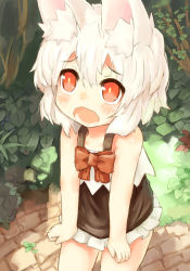 Rule 34 | :o, animal ear fluff, animal ears, bare arms, blush, bow, bowtie, brick floor, child, crr w9kd, dress, frilled dress, frills, outdoors, plant, red bow, red bowtie, red eyes, short hair, sleeveless, sleeveless dress, wavy mouth, white hair