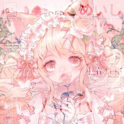 Rule 34 | 1girl, animal ears, blonde hair, bow, cat ears, chinese commentary, collar, commentary request, covered mouth, dated, detached collar, drill hair, english text, eyelashes, floral background, flower, flower in eye, frilled collar, frilled hairband, frilled wrist cuffs, frills, hair bow, hair flower, hair ornament, hairband, high collar, holding, holding flower, lace, lace-trimmed shirt, lace trim, leaf, lolita hairband, long hair, looking at viewer, mioda xi, mixed-language text, multiple hair bows, nail polish, original, pink background, pink bow, pink eyes, pink flower, pink rose, pink shirt, plaid, plaid shirt, puffy short sleeves, puffy sleeves, red nails, ribbon-trimmed hairband, rose, sample watermark, shirt, short sleeves, sleeve bow, solo, symbol in eye, upper body, watermark, weibo logo, weibo watermark, white collar, white hairband, white sleeves, wrist cuffs