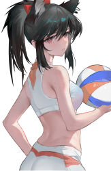 Rule 34 | 1girl, absurdres, alternate costume, animal ears, arknights, ass, ball, bare arms, bare shoulders, black hair, breasts, commentary, crop top, highres, holding, holding ball, long hair, looking at viewer, medium breasts, midriff, orange eyes, parted lips, playing sports, ponytail, rui (woyoudabing rui), sidelocks, solo, sports bra, texas (arknights), upper body, volleyball, volleyball (object), wolf ears