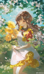 Rule 34 | 1girl, absurdres, blue sky, bouquet, brown eyes, brown hair, chinese commentary, closed mouth, cloud, commentary request, day, dress, earrings, falling petals, feet out of frame, flower, frills, geye guagua, grass, highres, holding, holding bouquet, holding flower, jewelry, leaf, long hair, looking at viewer, original, outdoors, petals, puffy short sleeves, puffy sleeves, red shirt, shirt, short sleeves, sky, smile, solo, sunflower, weibo logo, weibo username, white dress, white flower, wind, yellow flower
