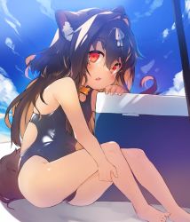 Rule 34 | animal ear fluff, animal ears, barefoot, blue one-piece swimsuit, brown hair, cloud, collar, dog ears, dog girl, dog tail, fang, hair intakes, highres, kannagi cocoa, legs, long hair, one-piece swimsuit, open mouth, original, outdoors, red eyes, school swimsuit, sitting, sky, solo, swimsuit, tail, thighs, toba hiyoko, toes