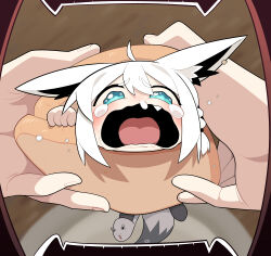 1girl absurdres ahoge animal_ears blue_eyes blush bread bread_slice cocomayo29_(tomato) commentary_request crying crying_with_eyes_open food fox_ears fox_girl fox_tail hair_between_eyes highres holding holding_food holding_sandwich hololive korean_commentary open_mouth photo-referenced pov_inside_mouth sandwich shirakami_fubuki slippers snot solo tail tears tongue virtual_youtuber wavy_eyes wavy_mouth white_hair