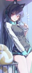 Rule 34 | 1girl, :o, absurdres, alternate costume, animal ear fluff, animal ears, ball, black hair, black jacket, blue archive, blue hair, blue ribbon, blurry, blush, bottle, breasts, cat ears, commentary request, cowboy shot, depth of field, gym uniform, halo, highres, holding, holding bottle, jacket, jacket tug, long hair, long sleeves, looking at viewer, ningen mame, notice lines, open mouth, partial commentary, pink halo, red eyes, ribbon, serika (blue archive), short shorts, shorts, sleeves past wrists, small breasts, solo, standing, thighs, track jacket, twintails, very long hair, volleyball (object), water bottle