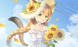 Rule 34 | 1girl, absurdres, animal ears, bare shoulders, blue sky, blush, braid, brown hat, cat ears, cat girl, cat tail, choker, cloud, cloudy sky, collarbone, commentary request, day, dress, ears through headwear, flower, frilled dress, frills, green eyes, hat, hat flower, highres, holding, holding flower, long hair, off-shoulder dress, off shoulder, open mouth, orange hair, orange tail, original, outdoors, petals, puffy short sleeves, puffy sleeves, ribbon, ribbon choker, short sleeves, sky, solo, ssalgolae, strapless, strapless dress, straw hat, sun hat, sundress, sunflower, tail, very long hair, white dress, white ribbon