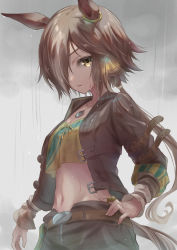 Rule 34 | 1girl, animal ears, belt, black shorts, breasts, brown belt, brown eyes, brown hair, cleavage, cloud, cloudy sky, commentary request, cowboy shot, crop top, crop top overhang, ear ornament, groin, hair between eyes, hair over one eye, hand on own hip, highres, horse ears, horse girl, horse tail, jacket, korokoro nekoz, long hair, long sleeves, looking at viewer, low-tied long hair, midriff, multicolored hair, navel, open clothes, open jacket, parted lips, rain, shirt, shorts, sidelocks, sky, small breasts, solo, standing, stopwatch, stopwatch around neck, streaked hair, tail, twitter username, umamusume, vodka (umamusume), wet, wet clothes, wet hair, white hair, yellow eyes, yellow shirt