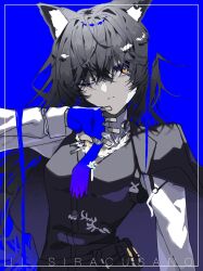 Rule 34 | 1girl, animal ears, arknights, ascot, black coat, black hair, black vest, blending, blue ascot, blue background, blue gloves, cat mokmok, claw pose, closed mouth, coat, coat on shoulders, collared shirt, commentary, fingerless gloves, gloves, hair between eyes, highres, long hair, long sleeves, looking at viewer, official alternate costume, shirt, solo, texas (arknights), texas the omertosa (arknights), upper body, vest, white shirt, wolf ears, wolf girl, yellow eyes