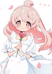Rule 34 | 1girl, ahoge, alternate costume, bare arms, brown eyes, commentary, dress, flower, genderswap, genderswap (mtf), highres, holding, holding flower, light blush, long hair, looking at viewer, mochitsuki kagami, onii-chan wa oshimai!, oyama mahiro, petals, pink hair, puffy short sleeves, puffy sleeves, red flower, red rose, rose, short sleeves, simple background, smile, solo, white background, white dress