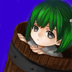 Rule 34 | 1girl, bucket, female focus, green hair, in bucket, in container, kisume, kutouten, messiahsyndrome, short hair, solo, touhou, twintails