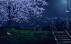 Rule 34 | 1boy, bicycle, cherry blossoms, commentary request, gensuke (ryun), grass, highres, ladder, lamppost, mountain, night, night sky, original, outdoors, riding, riding bicycle, scenery, sky, solo, tree, utility pole, wide shot