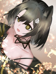 Rule 34 | 1girl, absurdres, animal ears, ao oni (onioni-aoi), arknights, bare shoulders, black hair, cat ears, choker, commentary request, dress, female focus, hair between eyes, hair ornament, highres, mandragora (arknights), off-shoulder dress, off shoulder, open mouth, partial commentary, short hair, solo, upper body, yellow eyes