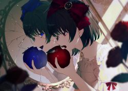 Rule 34 | 1girl, achiki, apple, black hair, blue apple, blue bow, blue eyes, blurry, blurry foreground, bow, commentary request, crying, crying with eyes open, damaged, depth of field, different reflection, dress, earrings, fang, flower, food, from side, fruit, hair bow, holding, holding food, holding fruit, jewelry, mirror, open mouth, original, puffy short sleeves, puffy sleeves, red apple, red bow, red eyes, red flower, red rose, reflection, rose, short hair, short sleeves, solo, stud earrings, tears, white dress