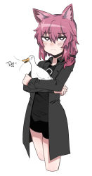 Rule 34 | 1girl, animal, animal ear fluff, animal ears, bird, black coat, black eyes, black shirt, black shorts, bright pupils, cat ears, closed mouth, coat, cropped legs, crossed arms, duck, frown, hair between eyes, hair tie, highres, holding, holding animal, holding bird, long sleeves, nyong nyong, open clothes, open coat, original, pink hair, shirt, shorts, sidelocks, simple background, solo, split mouth, white background, white pupils