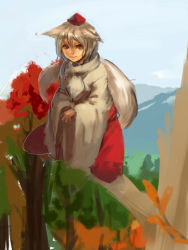 Rule 34 | 1girl, animal ears, blouse, branch, closed mouth, day, ears down, grey hair, hair between eyes, hat, inishie kumo, inubashiri momiji, long sleeves, looking at viewer, outdoors, red eyes, shirt, short hair, smile, solo, squatting, tail, tokin hat, touhou, white shirt, wide sleeves, wolf ears, wolf tail