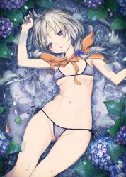 Rule 34 | 1girl, ahoge, arm up, bikini, blue bow, blush, bow, breasts, cameltoe, cleft of venus, cloak, commentary request, flower, frog, game-style, gluteal fold, grey hair, groin, hair bow, hydrangea, jiyu2, long hair, looking at viewer, low twintails, lying, medium breasts, navel, on back, original, parted lips, pond, purple bikini, purple eyes, ripples, solo, swimsuit, thigh gap, thighs, twintails, underboob