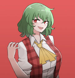 Rule 34 | 1girl, ascot, breasts, collared shirt, green hair, highres, kazami yuuka, large breasts, mata (matasoup), open clothes, open vest, plaid, plaid skirt, plaid vest, red eyes, red vest, shirt, short hair, simple background, skirt, solo, touhou, vest, white background, white shirt, yellow ascot
