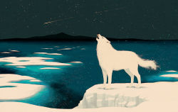 Rule 34 | howling, iceberg, md5 mismatch, muted color, night, night sky, no humans, original, resolution mismatch, s (pixiv1228080), shooting star, sky, source smaller, star (sky), wolf