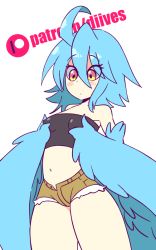 Rule 34 | 1girl, ahoge, animated, animated gif, bad id, bad tumblr id, blue hair, blue wings, breasts, cowboy shot, diives, eyes visible through hair, feathered wings, hair between eyes, harpy, monster girl, monster musume no iru nichijou, papi (monster musume), short shorts, shorts, simple background, small breasts, solo, standing, white background, winged arms, wings, yellow eyes