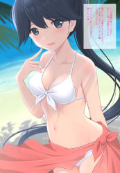 Rule 34 | 1girl, alternate costume, azuki-iro, beach, bikini, black eyes, black hair, breasts, collarbone, day, front-tie top, highres, houshou (kancolle), kantai collection, long hair, looking at viewer, medium breasts, navel, ocean, outdoors, palm leaf, red sarong, sarong, smile, solo, standing, swimsuit, translation request, very long hair, white bikini