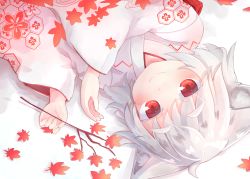 Rule 34 | 1girl, blush, branch, closed mouth, hair between eyes, highres, inubashiri momiji, japanese clothes, kibisake, kimono, leaf, leaf print, long sleeves, looking at viewer, lying, maple leaf, maple leaf print, on side, print kimono, red eyes, silver hair, smile, solo, thick eyebrows, touhou, white kimono, wide sleeves