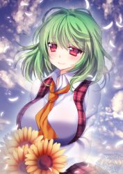 Rule 34 | 1girl, 2015, bad id, bad pixiv id, blush, breasts, cloud, cloudy sky, collared shirt, dated, flower, green hair, huge breasts, kazami yuuka, large breasts, looking at viewer, mikazuki sara, neckerchief, petals, plaid, plaid skirt, plaid vest, red eyes, shirt, short hair, signature, skirt, sky, smile, solo, sunflower, touhou, vest