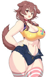 Rule 34 | 1girl, :d, animal collar, animal ears, blue shorts, bone hair ornament, braid, breasts, brown eyes, brown hair, cleavage, collar, curvy, dog ears, dog girl, dog tail, fang, hair ornament, hand on own hip, highres, hololive, inugami korone, large breasts, matarou (matarou072), nail polish, open mouth, short shorts, shorts, simple background, smile, solo, striped clothes, striped thighhighs, tail, thick thighs, thighhighs, thighs, twin braids, unzipped, virtual youtuber, white background, wide hips, yellow nails