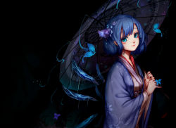 Rule 34 | 1girl, alternate costume, blue eyes, blue hair, bug, butterfly, butterfly on hand, cirno, darkness, floral print, hair ornament, highres, ice, ice wings, bug, japanese clothes, kimono, kiyomasa ren, looking at viewer, matching hair/eyes, oil-paper umbrella, smile, solo, touhou, umbrella, wide sleeves, wings