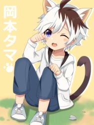 Rule 34 | 1boy, animal ears, brown hair, cat boy, cat ears, child, commentary request, full body, highres, looking at viewer, male focus, meranoreuka (naokentak), multicolored hair, okamoto tama, one eye closed, partial commentary, paw pose, purple eyes, solo, two-tone hair, uchi no tama shirimasen ka?, white hair