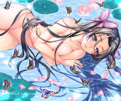 Rule 34 | 1girl, bigpink, black hair, breasts, bug, butterfly, butterfly hair ornament, character name, cherry blossoms, cleavage, collarbone, commentary, completely nude, covering privates, covering breasts, crossed arms, eyelashes, hair ornament, insect, kimetsu no yaiba, kochou kanae, lily pad, lips, lipstick, long hair, lying, makeup, medium breasts, nude, on side, parted bangs, parted lips, partially submerged, petals, purple eyes, solo, water