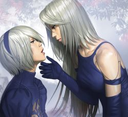 Rule 34 | 2girls, android, black gloves, blue eyes, branch, elbow gloves, eye contact, gloves, hairband, half-closed eyes, hand on another&#039;s chin, imminent kiss, joints, looking at another, multiple girls, nier (series), nier:automata, open mouth, puffy sleeves, robot joints, short hair, silver hair, upper body, watanabe yasuaki, 2b (nier:automata), a2 (nier:automata), yuri