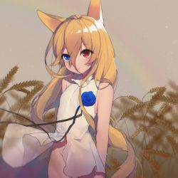 Rule 34 | 1girl, animal ears, arms behind back, bare arms, bare shoulders, blonde hair, blue eyes, blue flower, closed mouth, cowboy shot, dog ears, expressionless, flat chest, flower, g41 (girls&#039; frontline), girls&#039; frontline, groin, hair between eyes, heterochromia, highres, long hair, looking at viewer, miebao, no panties, red eyes, rose, shirt, sleeveless, sleeveless shirt, solo, very long hair, wheat, wheat field, white shirt