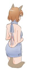 Rule 34 | 10s, 1girl, anal tail, animal ears, ass, backless dress, backless outfit, bare back, bare shoulders, blue eyes, blue sweater, brave witches, breasts, brown hair, butt crack, butt plug, dimples of venus, dress, fake tail, from behind, gundula rall, halterneck, looking at viewer, looking back, medium breasts, meme attire, mukiki, naked sweater, ribbed sweater, scar, sex toy, short hair, simple background, solo, sweater, sweater dress, tail, turtleneck, turtleneck sweater, virgin killer sweater, white background, world witches series