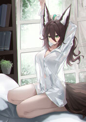 Rule 34 | 1girl, absurdres, animal ears, arm up, bed, book, bookshelf, bracelet, breasts, brown hair, chromatic aberration, collarbone, collared shirt, commentary request, fox ears, fox girl, fox tail, full body, green eyes, highres, honkai: star rail, honkai (series), indoors, jewelry, large breasts, lilin (pixiv 25958194), long hair, looking at viewer, naked shirt, on bed, outline, pillow, plant, potted plant, see-through, see-through shirt, see-through silhouette, shirt, sitting, smile, solo, stretching, sunlight, tail, tingyun (honkai: star rail), wariza, white shirt, window