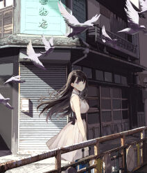 Rule 34 | 1girl, bird, black hair, blue eyes, blunt bangs, breasts, building, chef no kimagure salad, closed mouth, day, dress, from side, highres, long hair, looking at viewer, looking to the side, medium breasts, original, outdoors, railing, rolling suitcase, rust, sleeveless, sleeveless dress, solo, suitcase, sunlight, very long hair, white dress